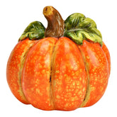 Pompoen - (WU-43432)